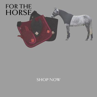 Horse Wear - Horzehoods
